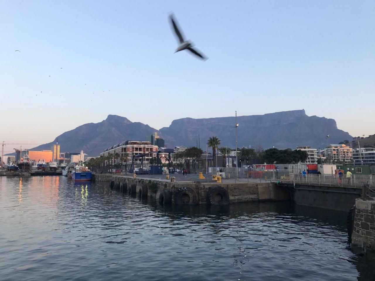 Taj Hotelapart, Taj Hotel Cape Town Exterior foto